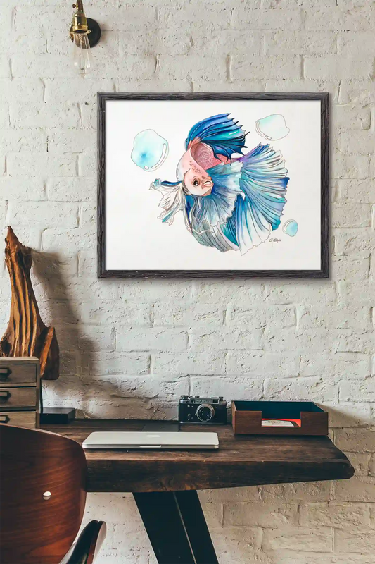 Betta Fish - Art Print