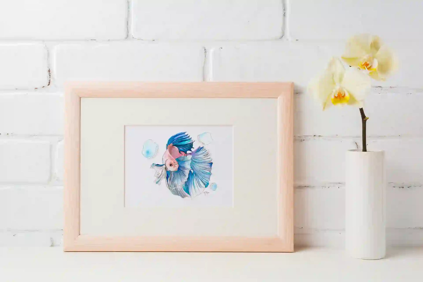 Betta Fish - Art Print