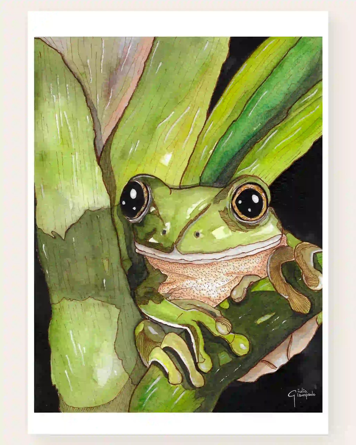 Big Eyes - Art Print