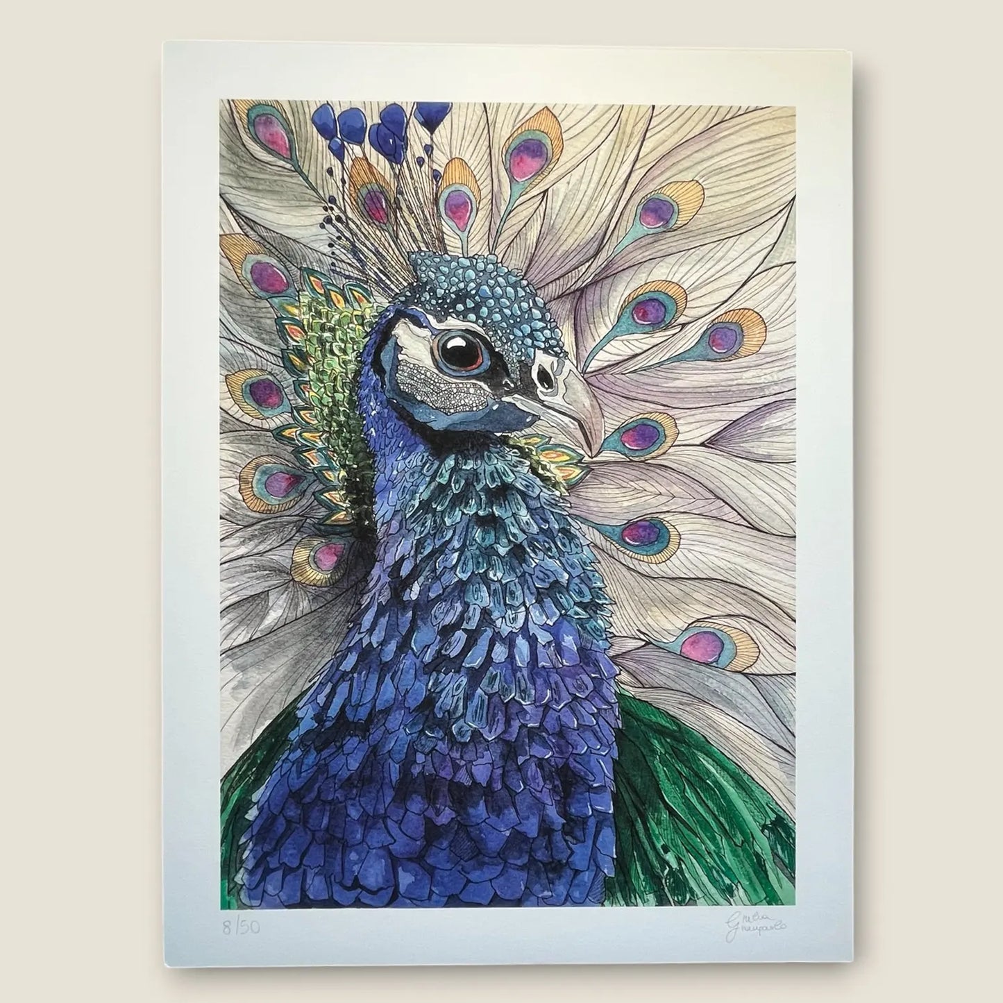 Peacock – Limited Edition Fine Art Print
