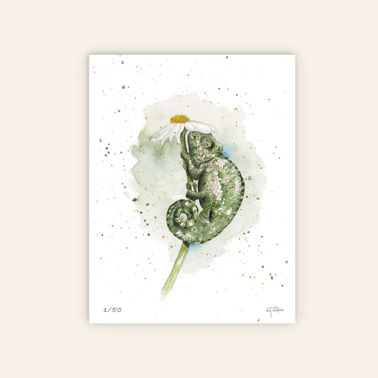 La Signora Carmen – Limited Edition Fine Art Print