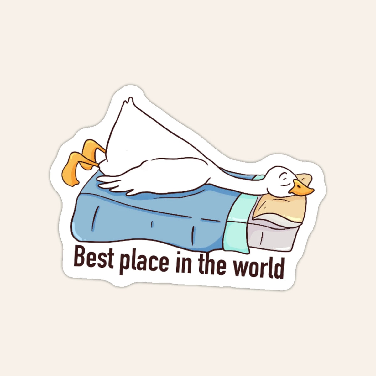 Best place in the world 🛏️
