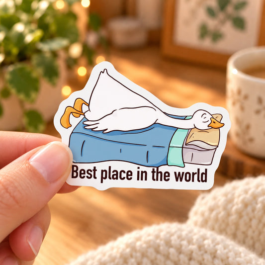 Best place in the world 🛏️