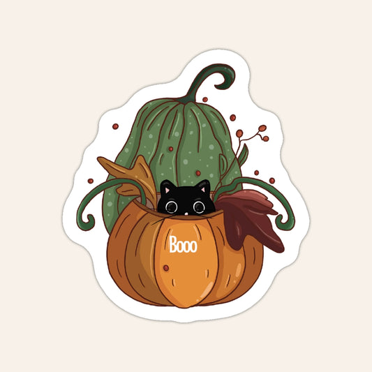 Halloween 🎃