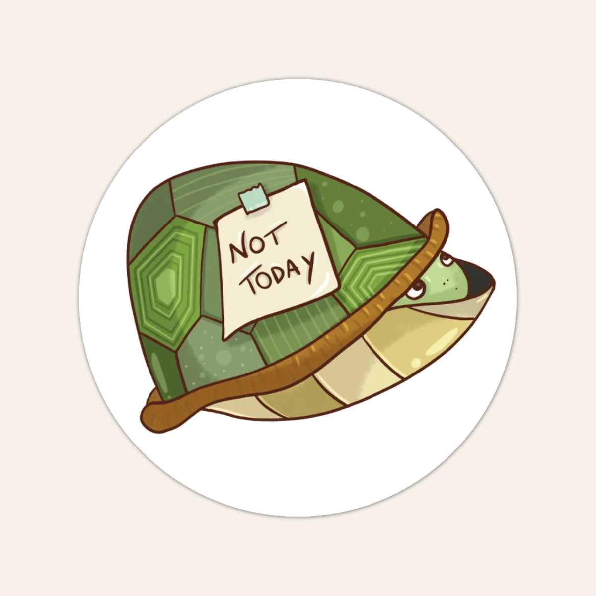 Not Today Turtle 🐢