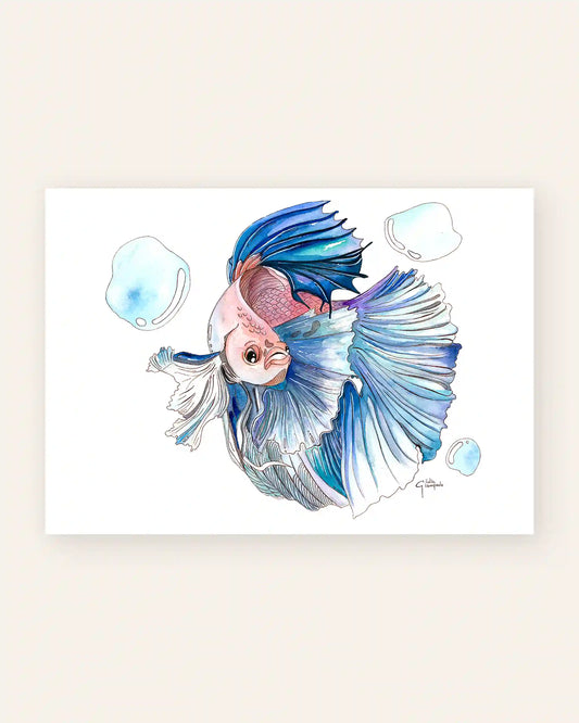 Betta Fish - Art Print