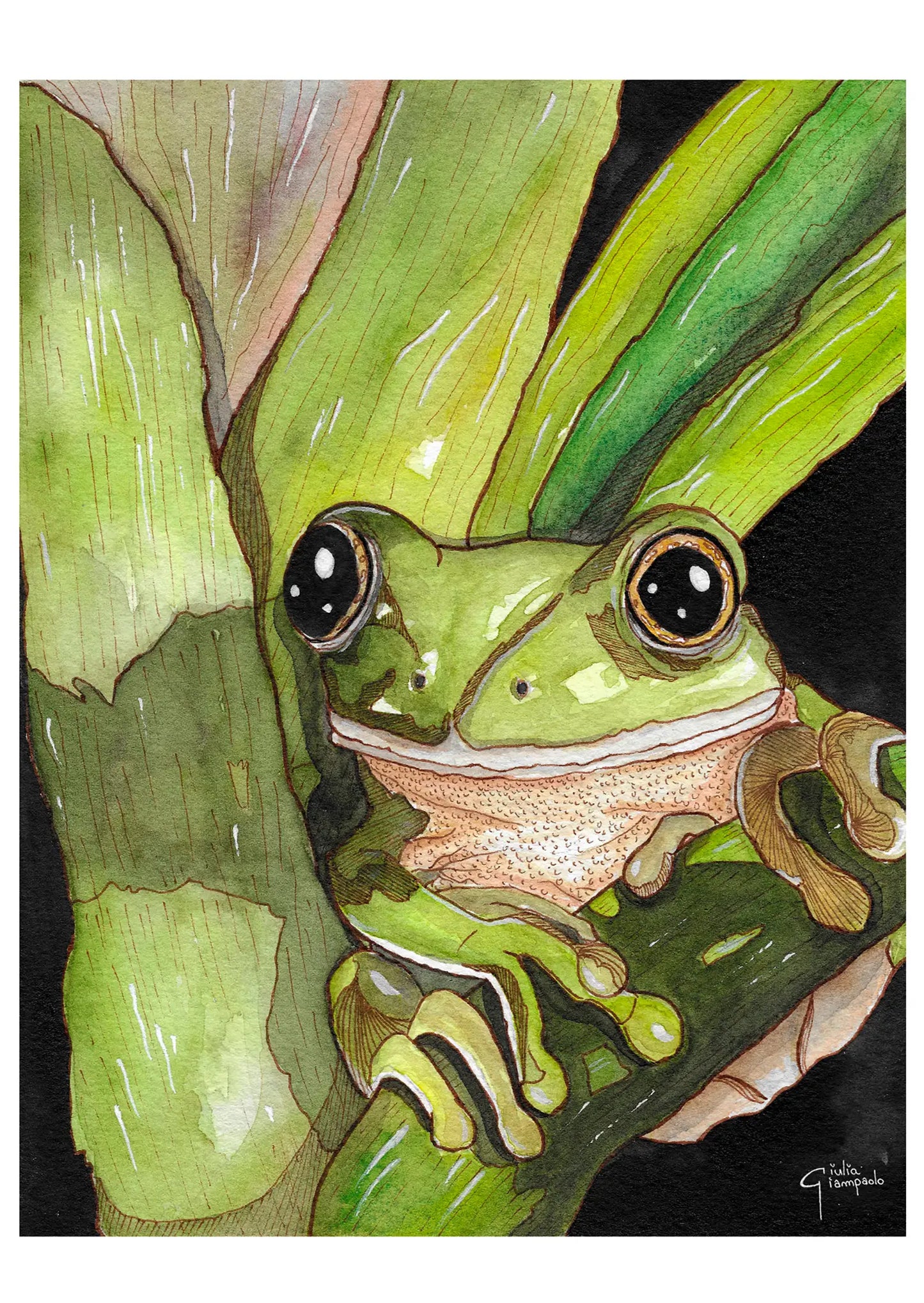 Big Eyes - Art Print