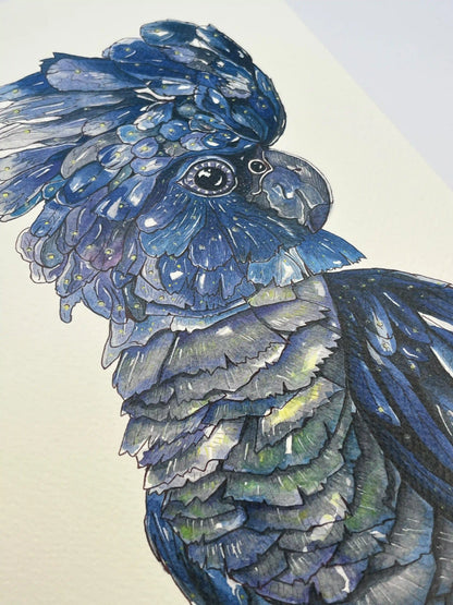 Blue-Black Cockatoo - Art Print