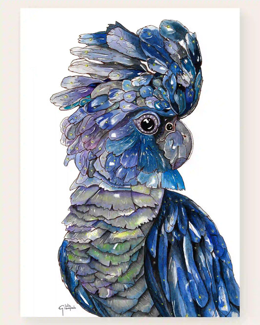 Blue-Black Cockatoo - Art Print