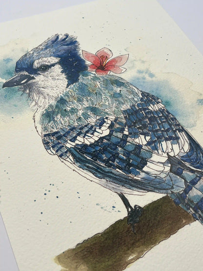 Blue Jay - Art Print