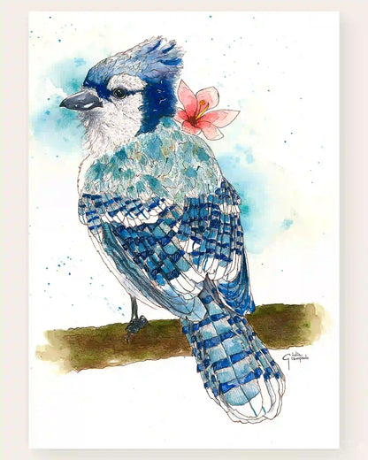 Blue Jay - Art Print