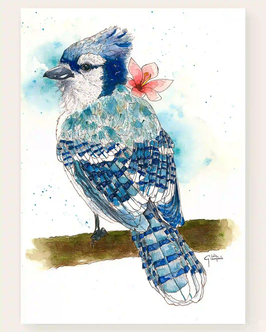 Blue Jay - Art Print