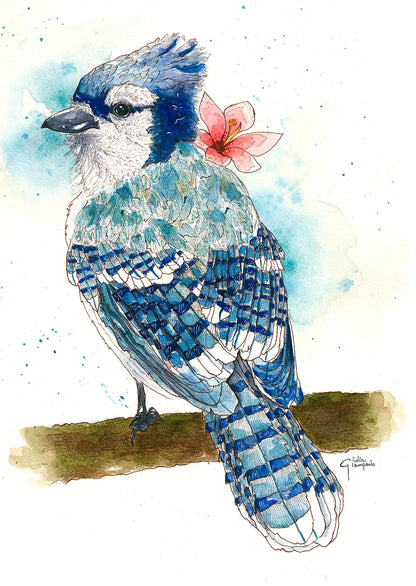 Blue Jay - Art Print