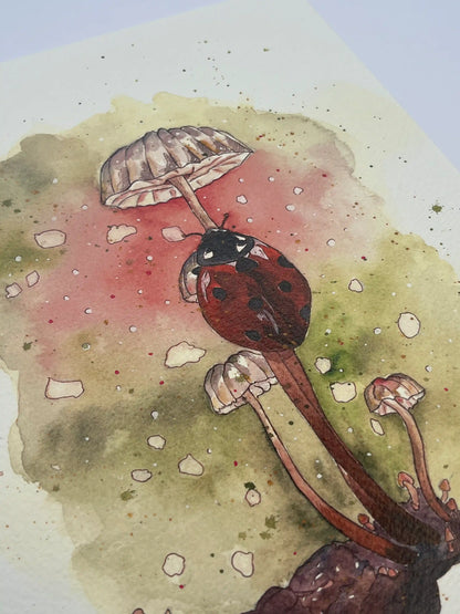 Coccinella - Art Print