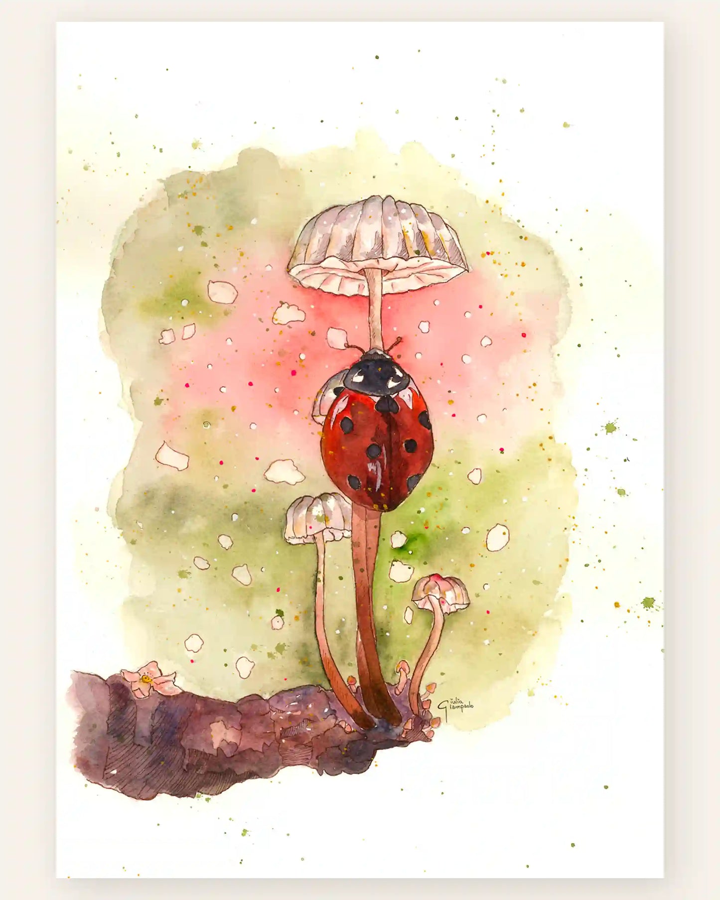 Coccinella - Art Print