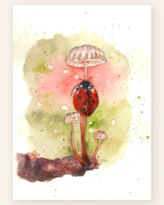 Coccinella - Art Print
