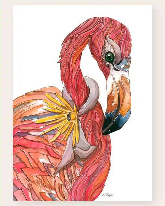 Fenicottero - Art Print