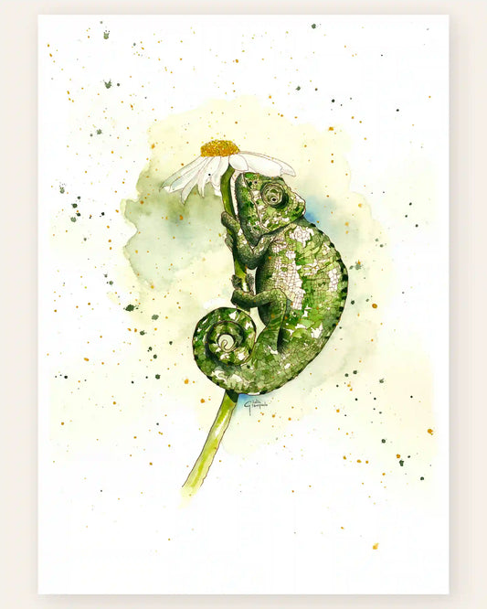 La Signora Carmen - Art Print