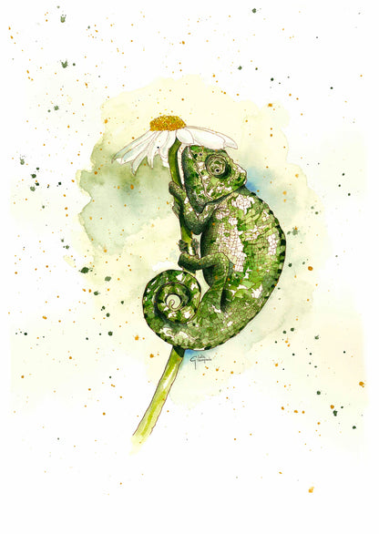 La Signora Carmen - Art Print