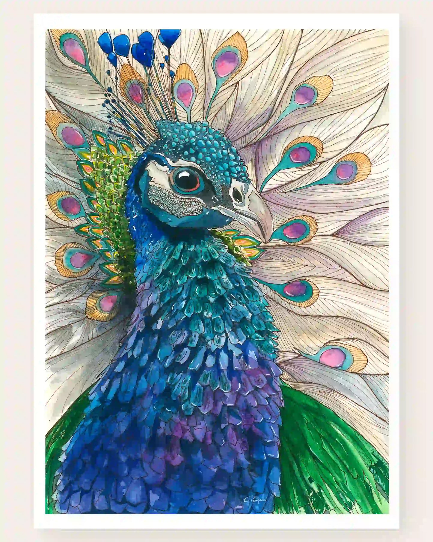 Peacock - Art Print